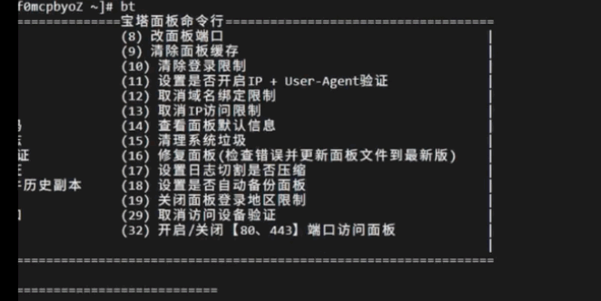 宝塔终端命令演示